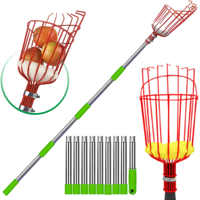 Raccoglitrice di frutta con as - Fishing Rod Telescopic recensione e prezzo